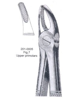 Extracting Forceps