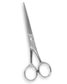Hair Cutting Shears