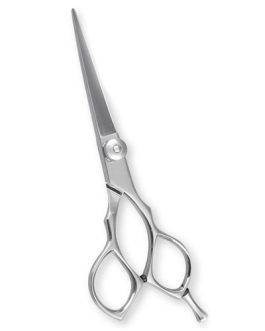 Hair Cutting Shears